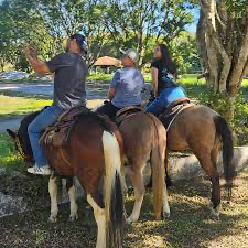 Cavalo em Parelheiros